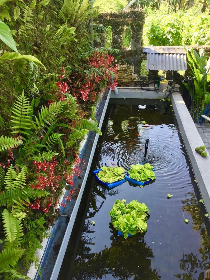 Pondok Plantation Luxury Mountain Escape Bedugul Bedugul  Exterior photo