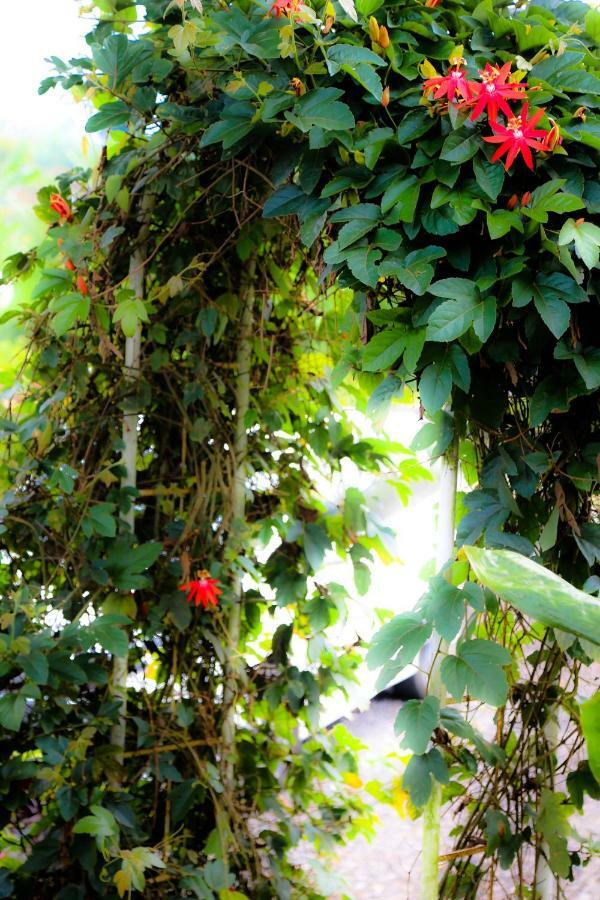 Pondok Plantation Luxury Mountain Escape Bedugul Bedugul  Exterior photo